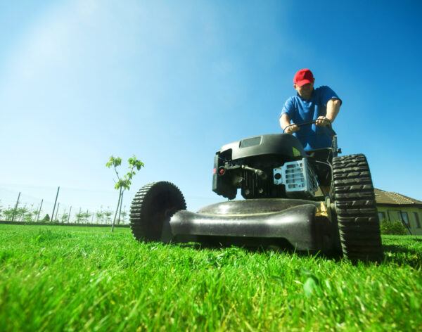 Man mowing the lawn. Gardening