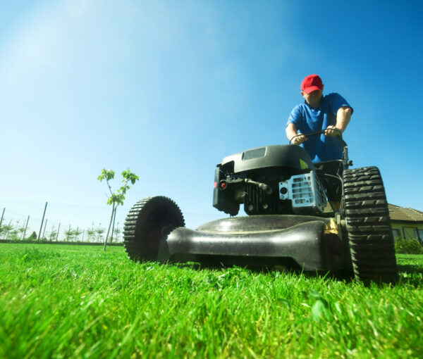 Man mowing the lawn. Gardening