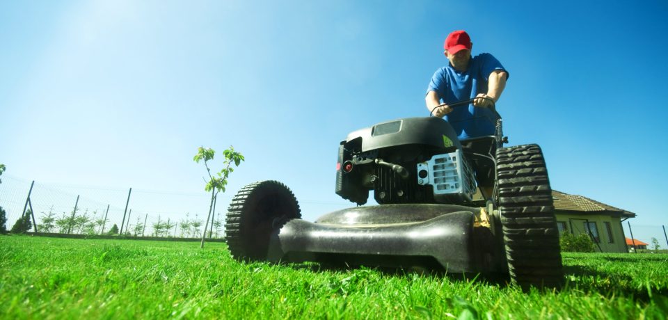 Man mowing the lawn. Gardening